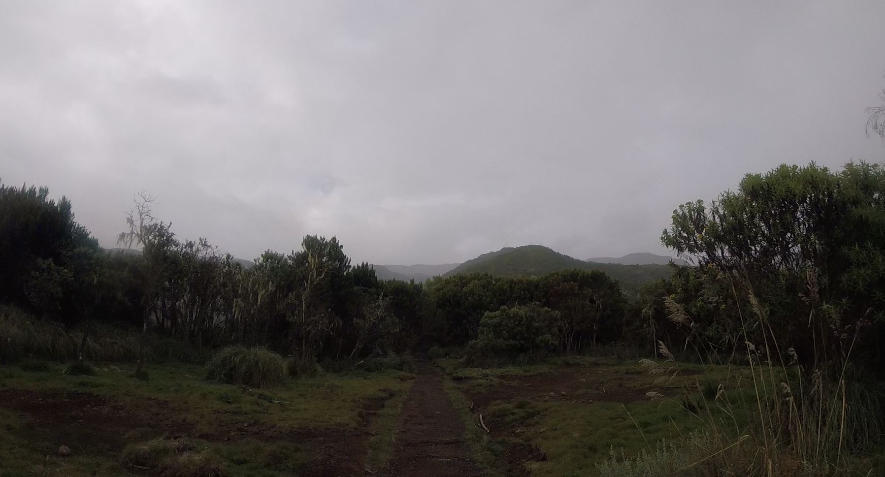 first moorland