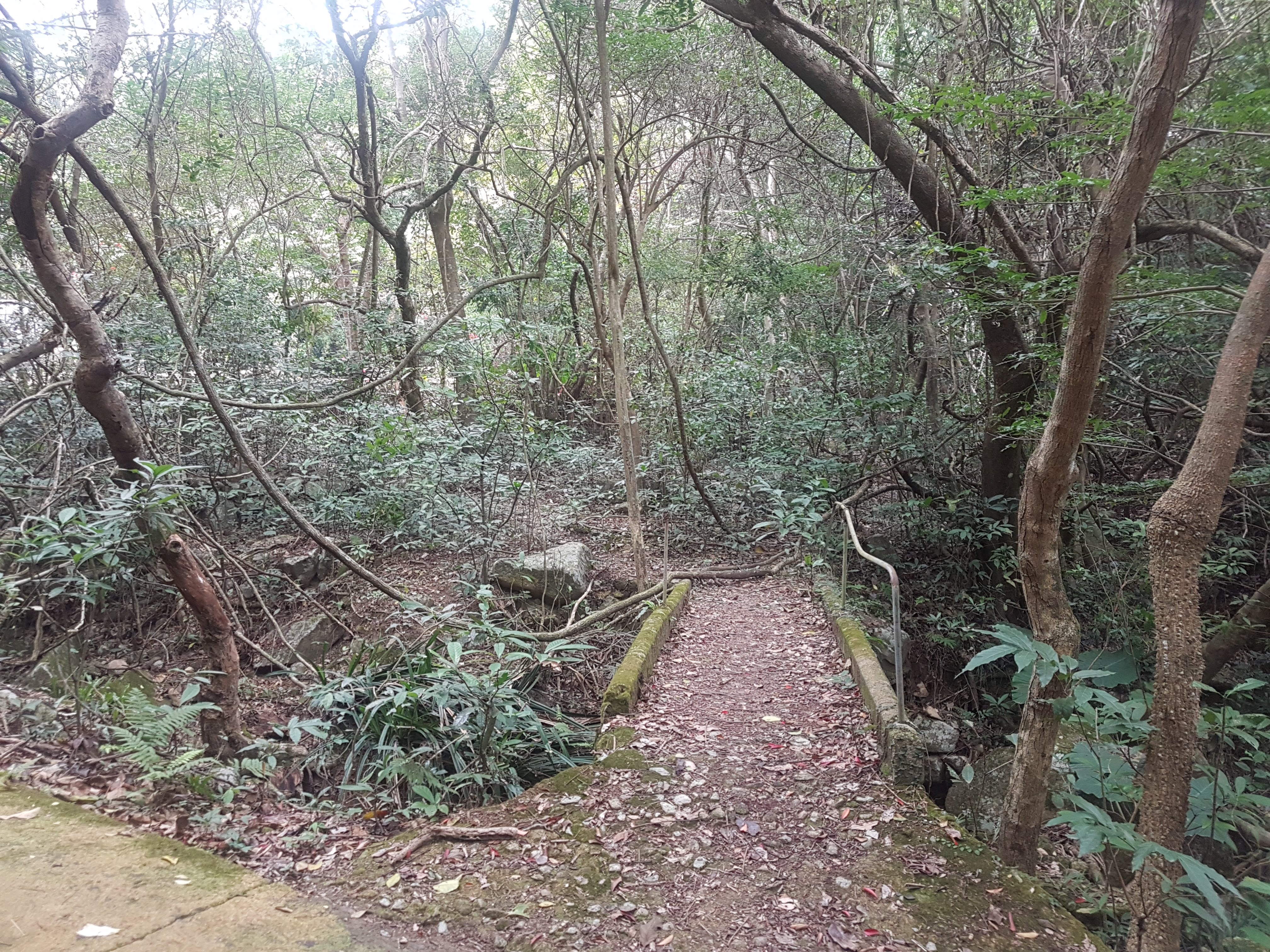 20180127_140142.jpg