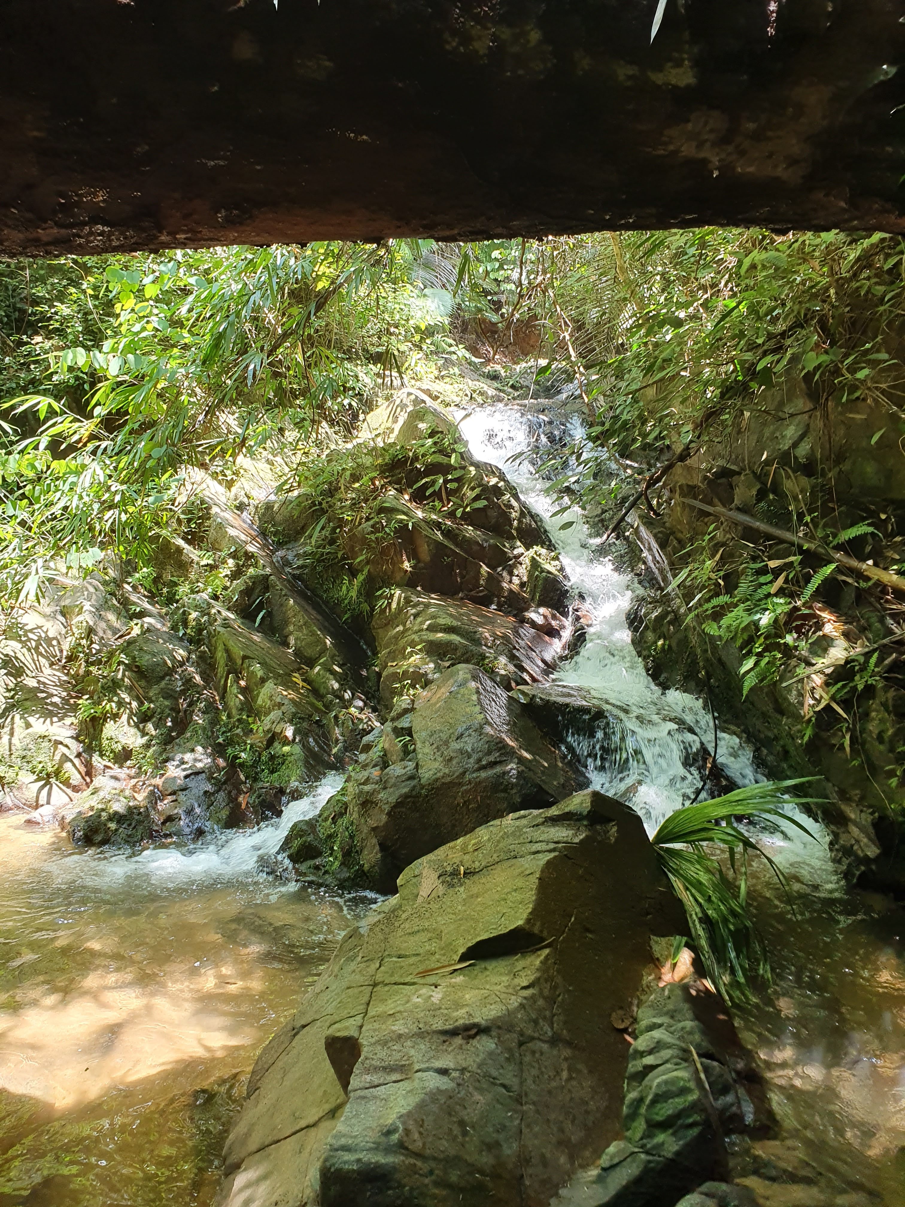 20190908_120429