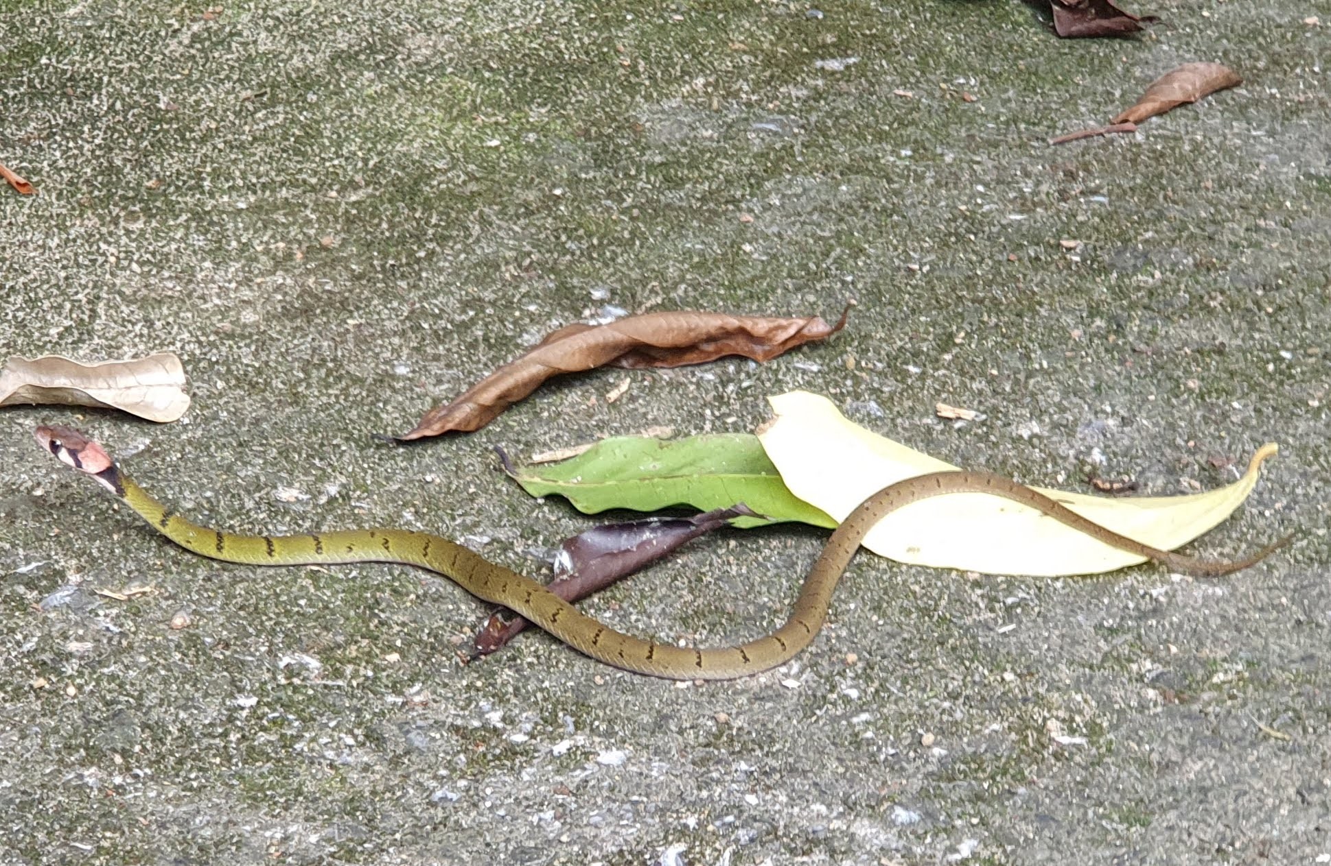 20190908_134841